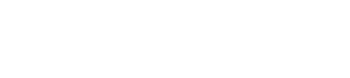 Team Red White & Blue logo
