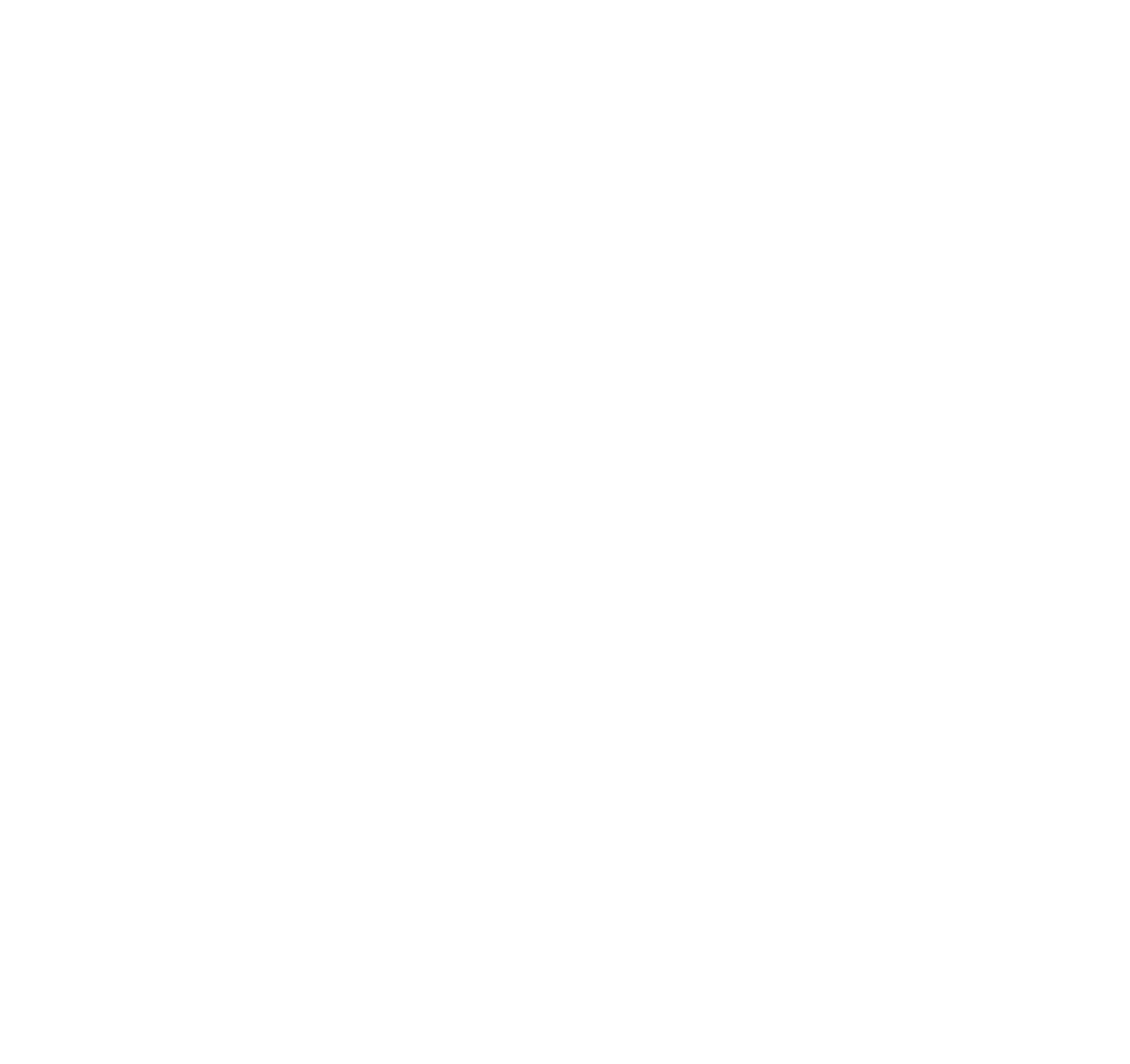 Team Red White & Blue logo